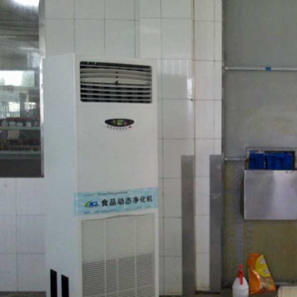 巢湖食品智能空气杀菌器